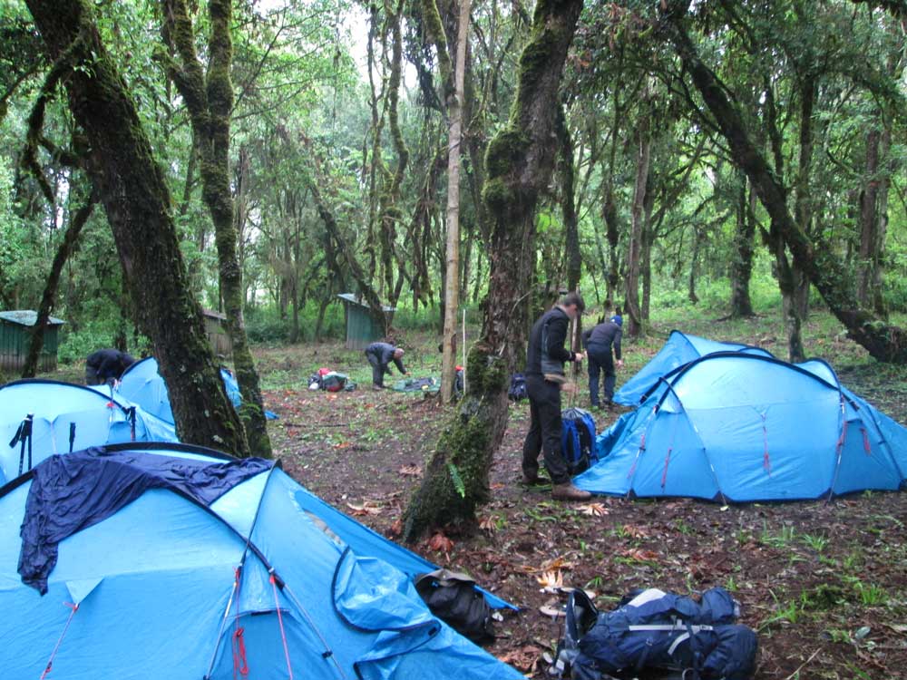 Campsite 1 – Good Morning Sunshine